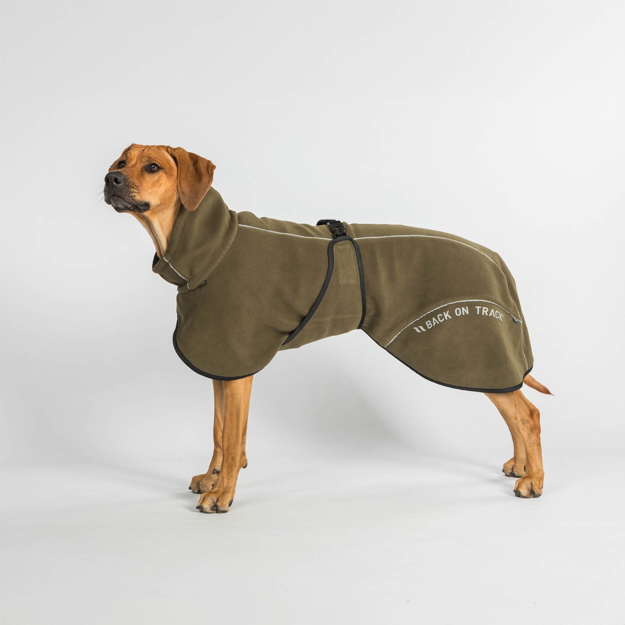 BAY Fleece-Hundemantel mit niedrigem Rutenansatz in Oliv am Hund