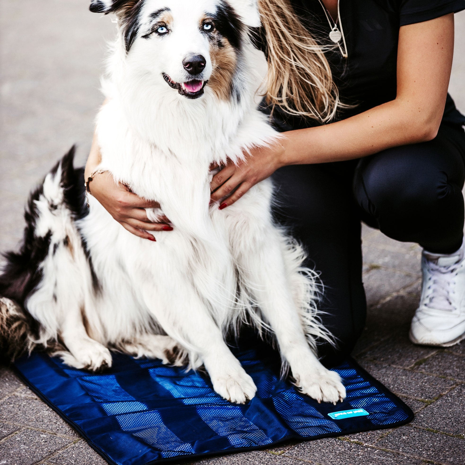 Cool on Track Handtuch 4201 unter einem sitzenden Hund