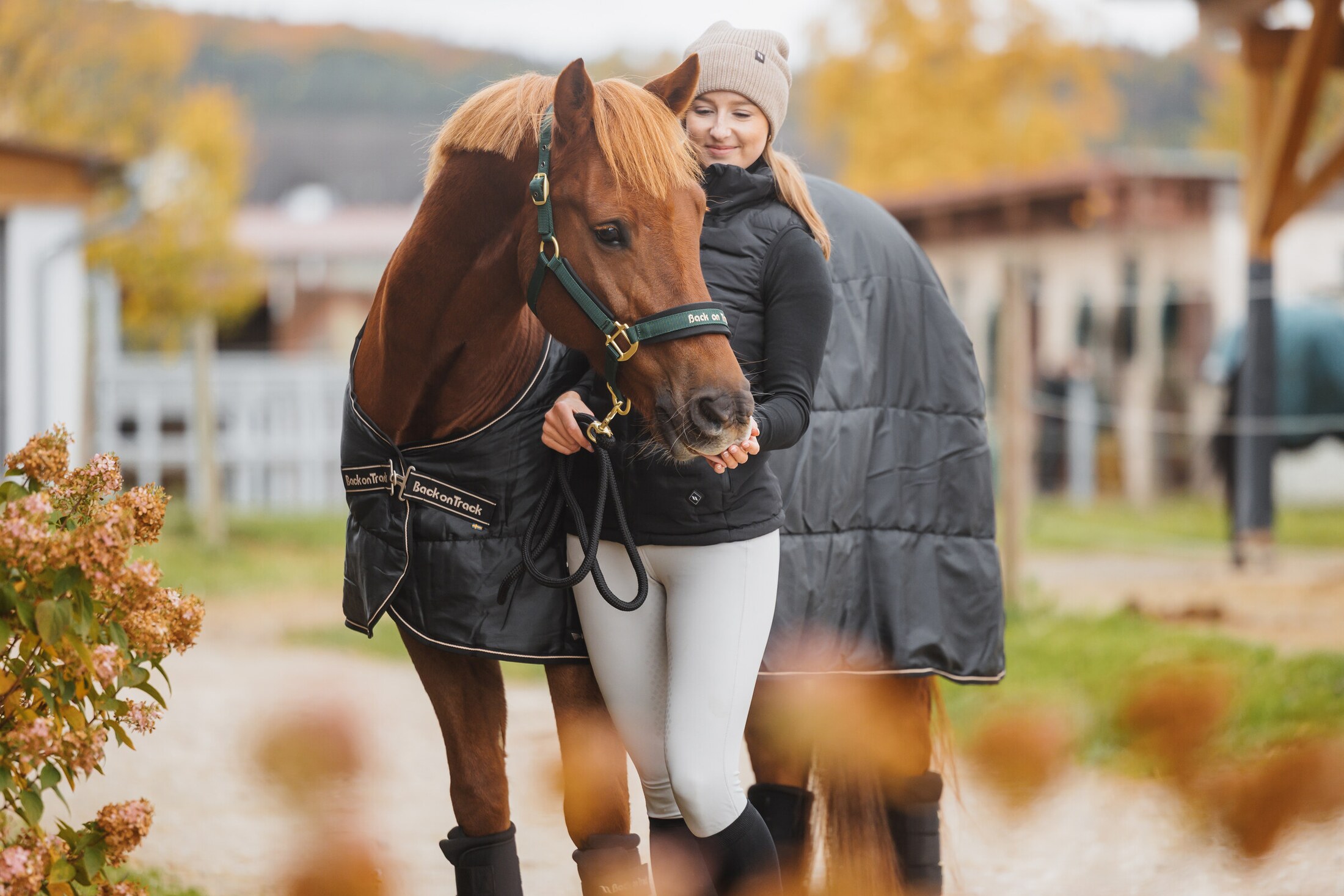 Back on Track: Textilien für Mensch, Hund und Pferd
