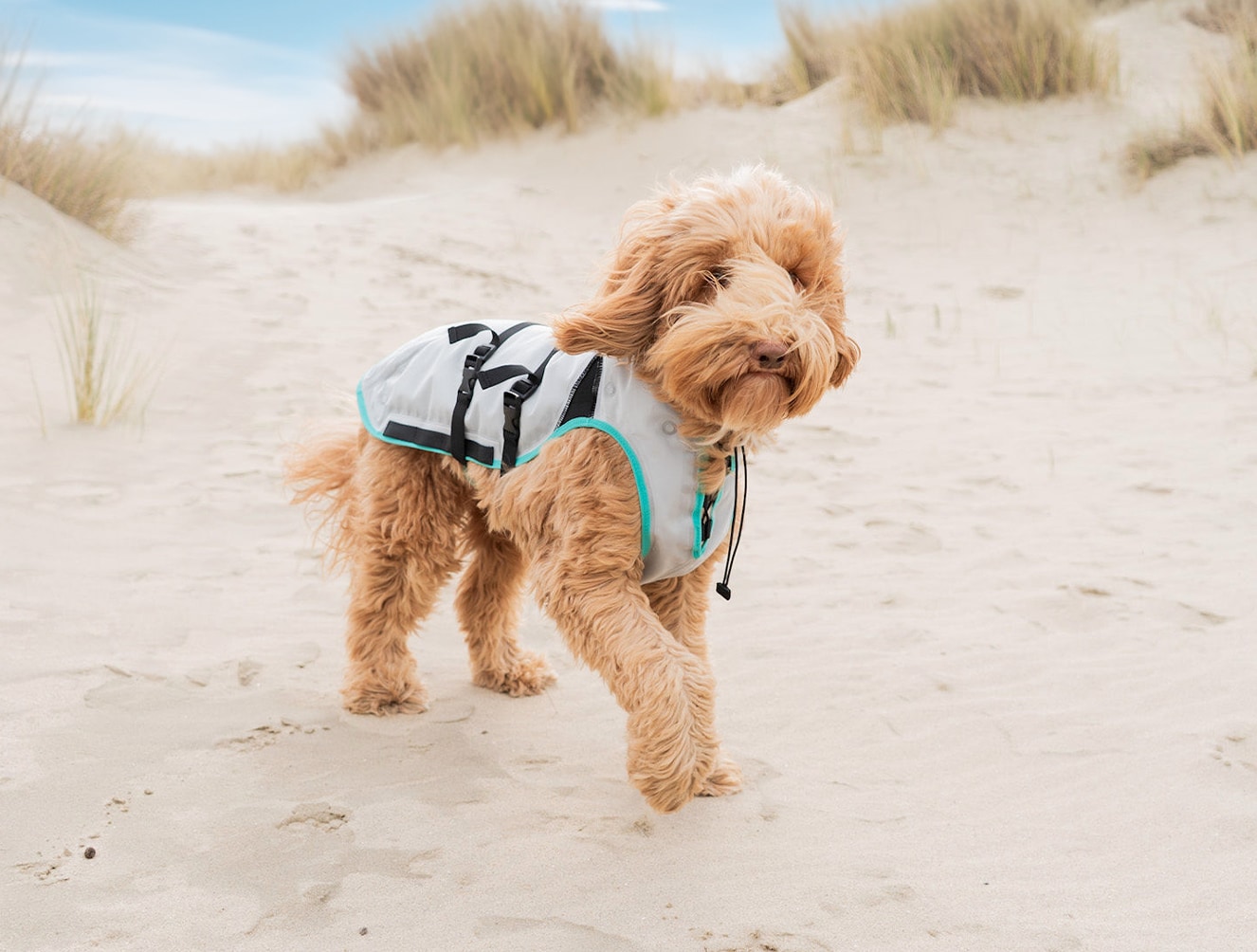 Suitical® DRY Cooling Vest für Hunde